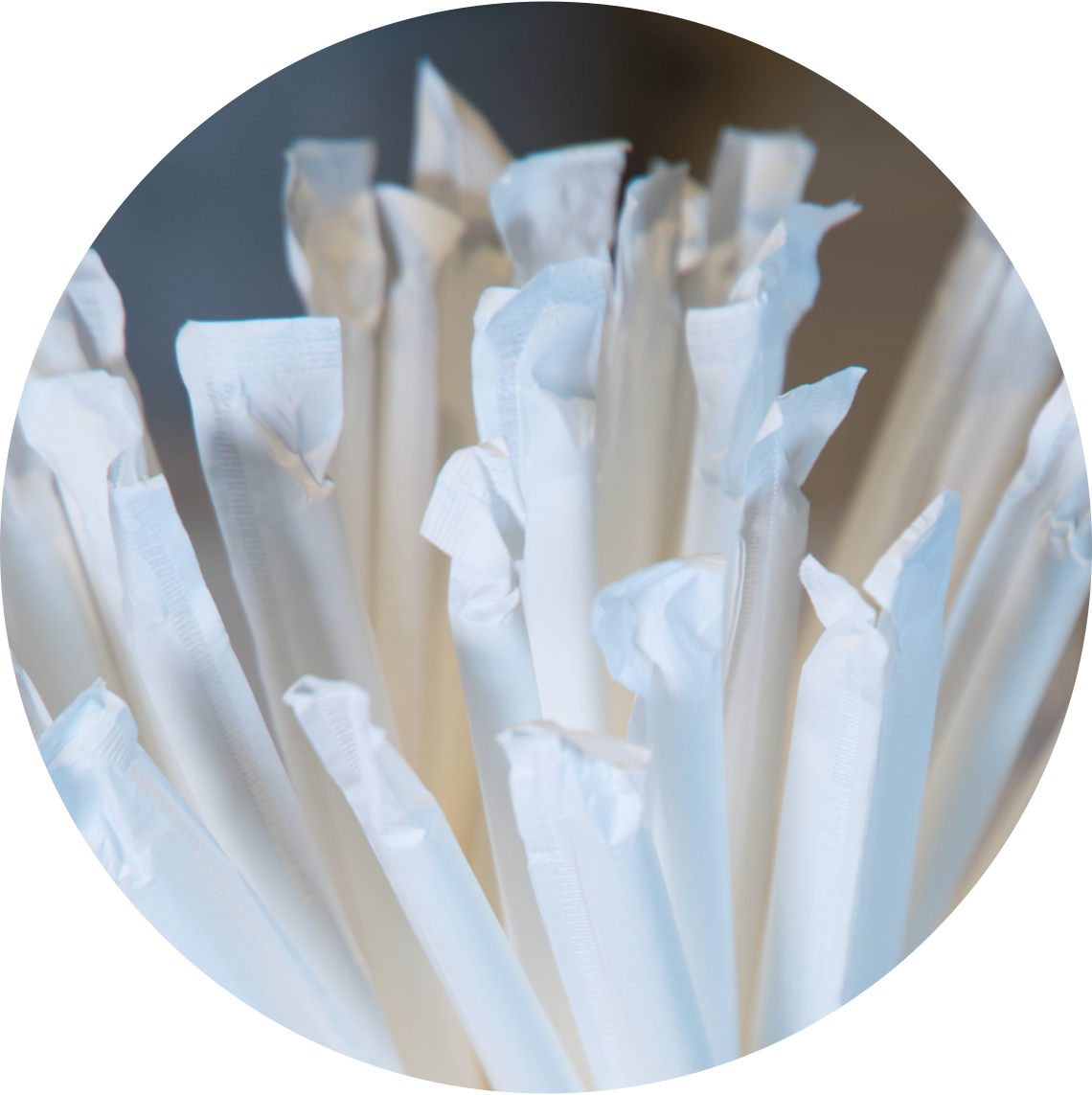 Image de pailles en papier blanches emballées typiques des produits pour la restauration rapide Soyez Frères